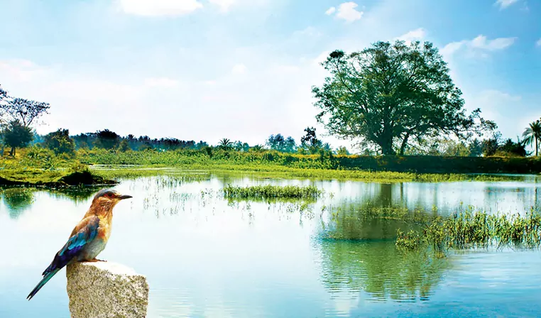 Indium Lake Forest: Premium Plots & Apartments off Mysore Road Bangalore gallery 2